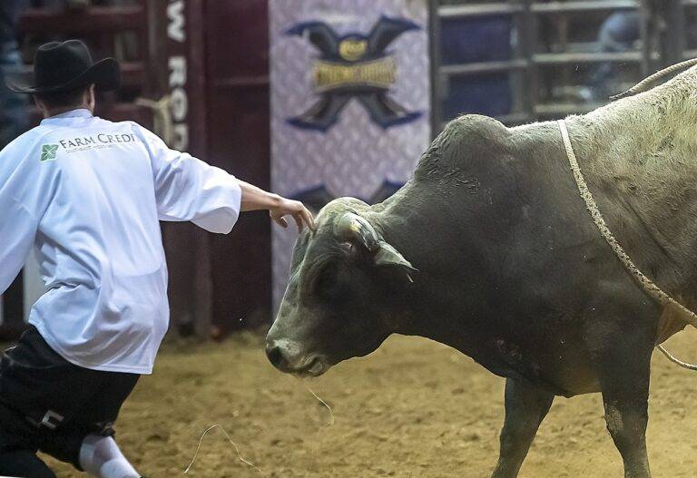 Review: Breakthroughs in Virtual Reality Filmmaking