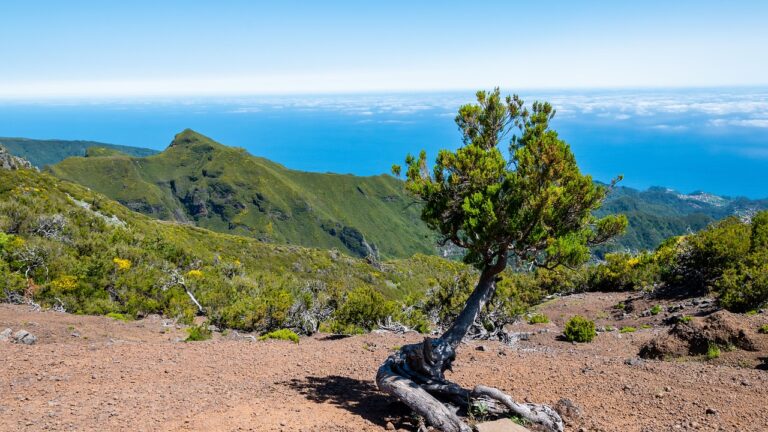 The Benefits of Group Travel