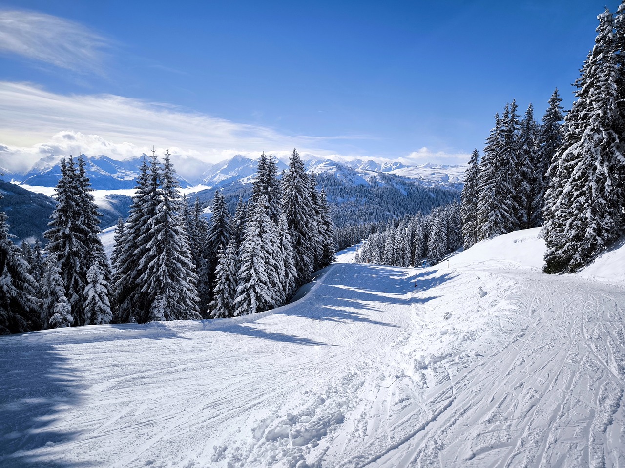 Play99exch, Sky247, Allpaanel ID