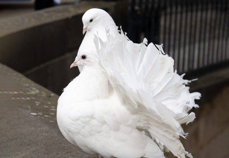 Review: Advancements in Motion Tracking Technology for Animation