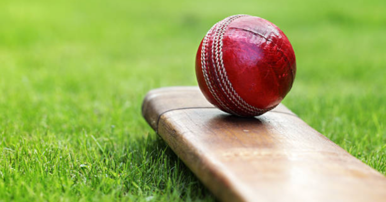 How Do I Get the Gamewinexch WhatsApp Number for Cricket Betting?